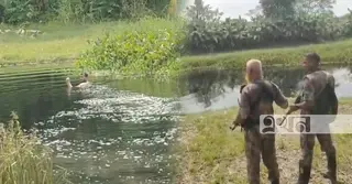 ঝিনাইদহ সীমান্তে বিএসএফের ‘পুশইন’ চেষ্টা প্রতিহত করলো বিজিবি